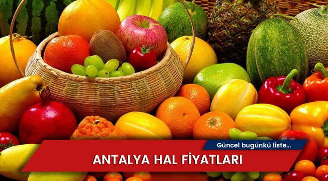 Antalya Hal Fiyatları 2024: Meyve – Sebzeler (GÜNLÜK)