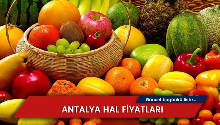 Antalya Hal Fiyatları 2024: Meyve – Sebzeler (GÜNLÜK)